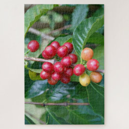 Rijpende Kona koffie kersen, Hawaï Legpuzzel
