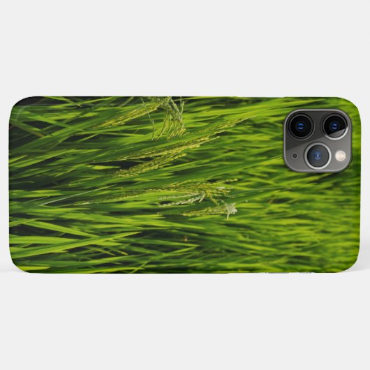 rijpende rijst Case-Mate iPhone case (Achterkant (horizontaal))