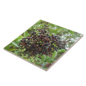 Rijpende vlierbessen Tegel Tegeltje (Zijkant)