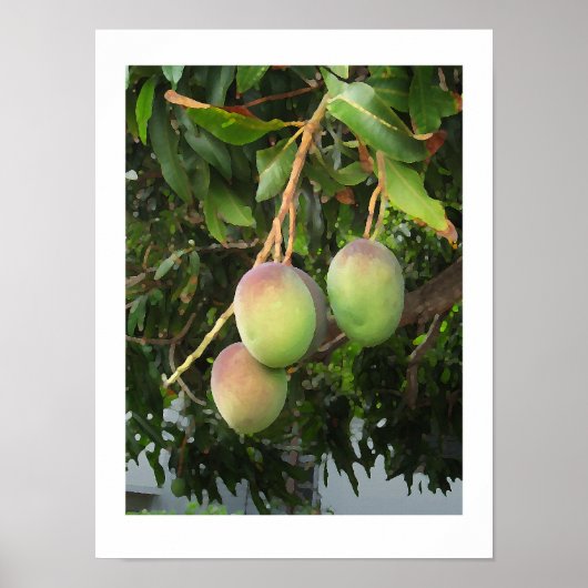 Rijping Poster (Voorkant)