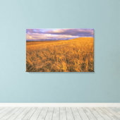 Rijpingsveld voor gerst langs de Rocky Canvas Afdruk (Insitu (Houten vloer))