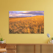 Rijpingsveld voor gerst langs de Rocky Canvas Afdruk (Insitu (Woonkamer))