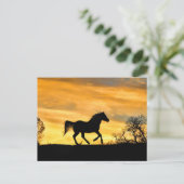 rijppaarden op het ZonnesetBriefkaart Briefkaart (Staand voorkant)