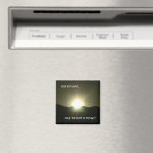 RIJS EN SCHIJN... MAGNEET (Insitu (Vaatwasser))