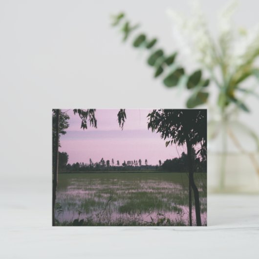 Rijst Paddies Briefkaart (Staand voorkant)