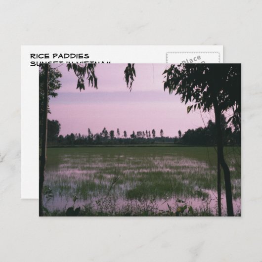 Rijst Paddies Briefkaart (Voorkant / Achterkant)