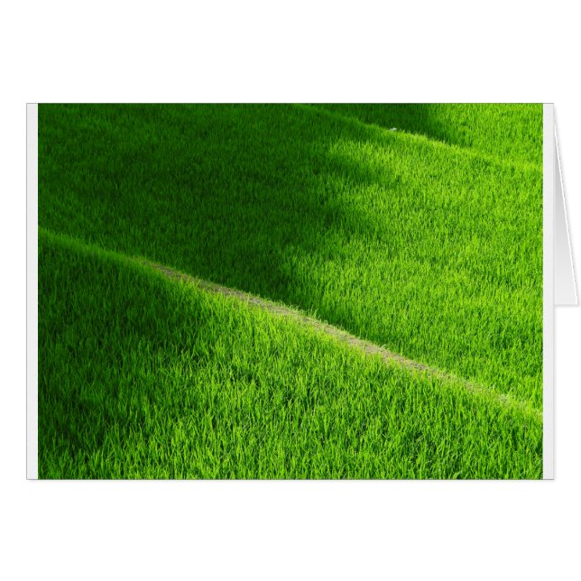Rijst Terraces Yamada's rijstvelden Japan (Voorkant Horizontaal)