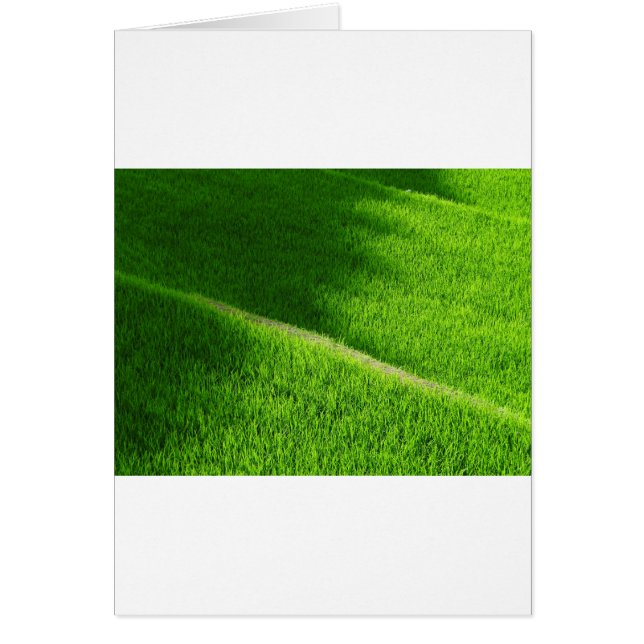 Rijst Terraces Yamada's rijstvelden Japan (Voorkant)