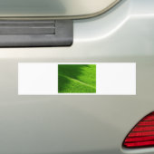 Rijst Terraces Yamada's rijstvelden Japan Bumpersticker (Op auto)