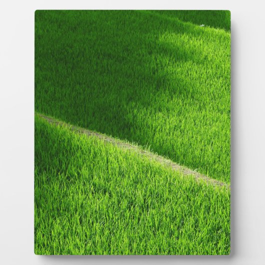 Rijst Terraces Yamada's rijstvelden Japan Fotoplaat (Voorkant)