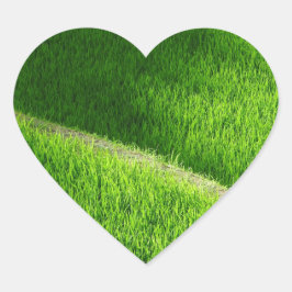 Rijst Terraces Yamada's rijstvelden Japan Hart Sticker