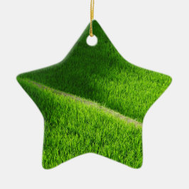 Rijst Terraces Yamada's rijstvelden Japan Keramisch Ornament