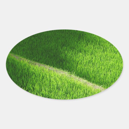 Rijst Terraces Yamada's rijstvelden Japan Ovale Sticker (Voorkant)