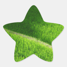 Rijst Terraces Yamada's rijstvelden Japan Ster Sticker