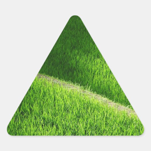 Rijst Terraces Yamada's rijstvelden Japan Sticker (Voorkant)