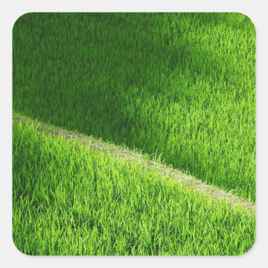Rijst Terraces Yamada's rijstvelden Japan Vierkante Sticker (Voorkant)