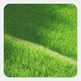 Rijst Terraces Yamada's rijstvelden Japan Vierkante Sticker
