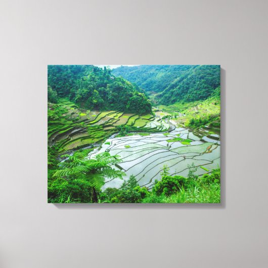 Rijst terraslandschap, Filipijnen Canvas Afdruk (Voorkant)