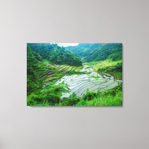 Rijst terraslandschap, Filipijnen Canvas Afdruk
