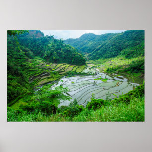 Rijst terraslandschap, Filipijnen Poster