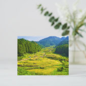 Rijstkanteling in de bergen van het Aziatische lan Briefkaart (Staand voorkant)