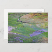 Rijstpaddenstoelen in Sapa Briefkaart (Voorkant / Achterkant)