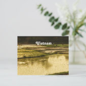 Rijstpadie Briefkaart (Staand voorkant)