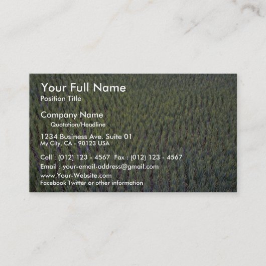 Rijstpadie, Indonesië Visitekaartje (Voorkant)