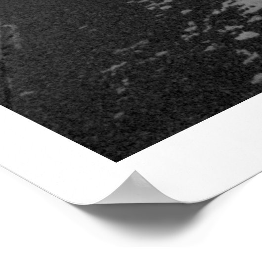 Rijstpark, St. Paul, MN Poster (Hoek)