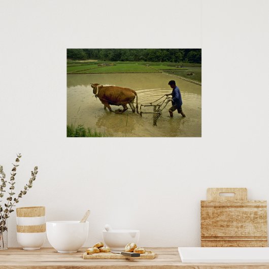 Rijstploeg Poster (Keuken)