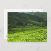 rijstterrassen briefkaart (Voorkant / Achterkant)