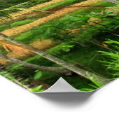 Rijstterrassen in Bali Poster Print (Hoek)