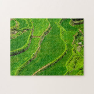 Rijstterrassen Legpuzzel