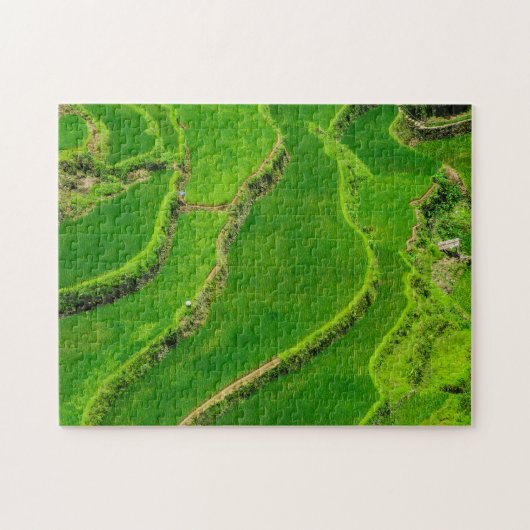 Rijstterrassen Legpuzzel (Horizontaal)