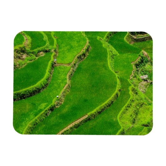Rijstterrassen Magneet (Horizontaal)