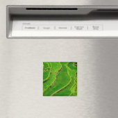 Rijstterrassen Magneet (Insitu (Vaatwasser))