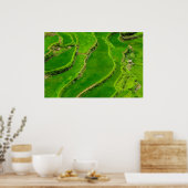Rijstterrassen Poster (Keuken)