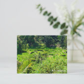 Rijstterrassen van Bali, Indonesië Briefkaart (Staand voorkant)