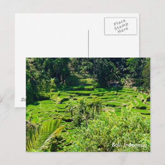 Rijstterrassen van Bali, Indonesië Briefkaart (Voorkant / Achterkant)
