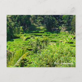 Rijstterrassen van Bali, Indonesië Briefkaart