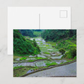 Rijstterrassen van Banaue, Luzon Briefkaart (Voorkant / Achterkant)