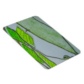 Rijstterrassen van Luzon Magneet (Rechterzijde)
