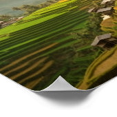 Rijstterrassen Zonsopgang Poster (Hoek)