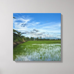 Rijstveld onder een heldere blauwe lucht canvas afdruk
