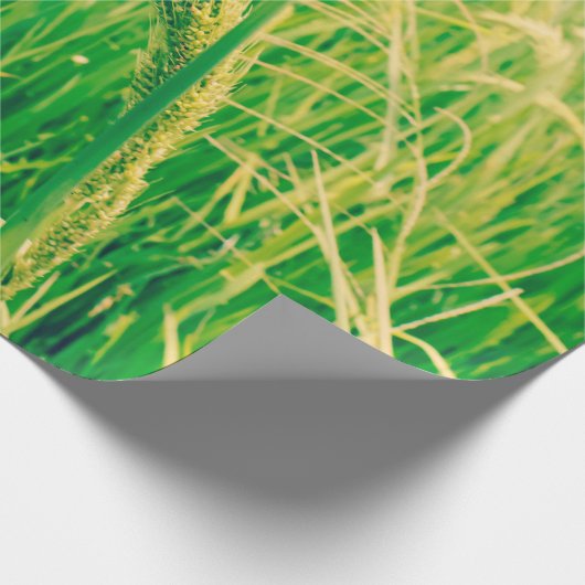 Rijstveld op het platteland en verse,  styleabstr cadeaupapier (Hoek)