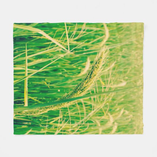Rijstveld op het platteland en verse, styleabstr fleece deken (Voorkant (Horizontaal))