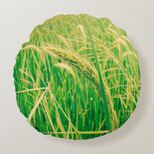 Rijstveld op het platteland en verse, styleabstr rond kussen