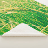 Rijstveld op het platteland en verse, styleabstr sherpa deken (3/4)