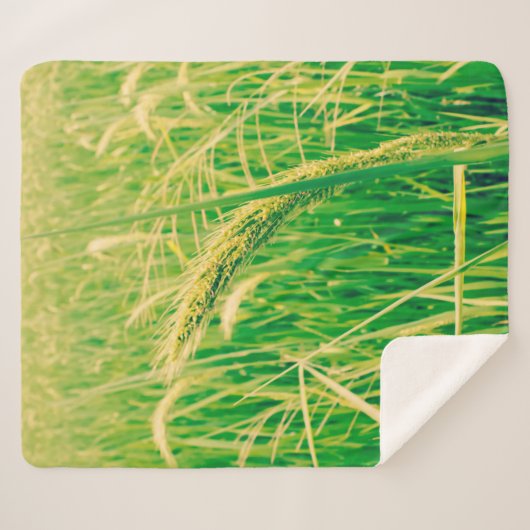 Rijstveld op het platteland en verse, styleabstr sherpa deken (Voorkant (horizontaal))