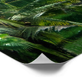 Rijstvelden Bali Indonesia Poster (Hoek)